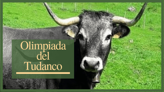 La Olimpiada Tudanca, en Cabezón de la Sal
