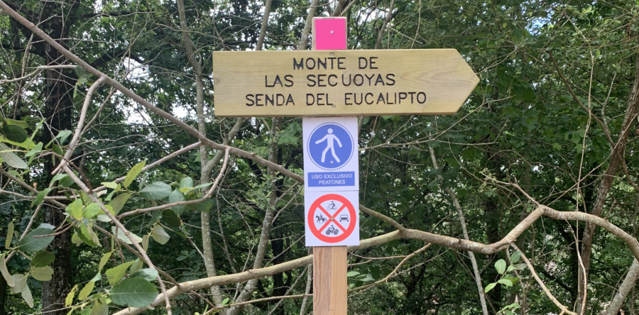 Dónde comer cerca del Bosque de Secuoyas